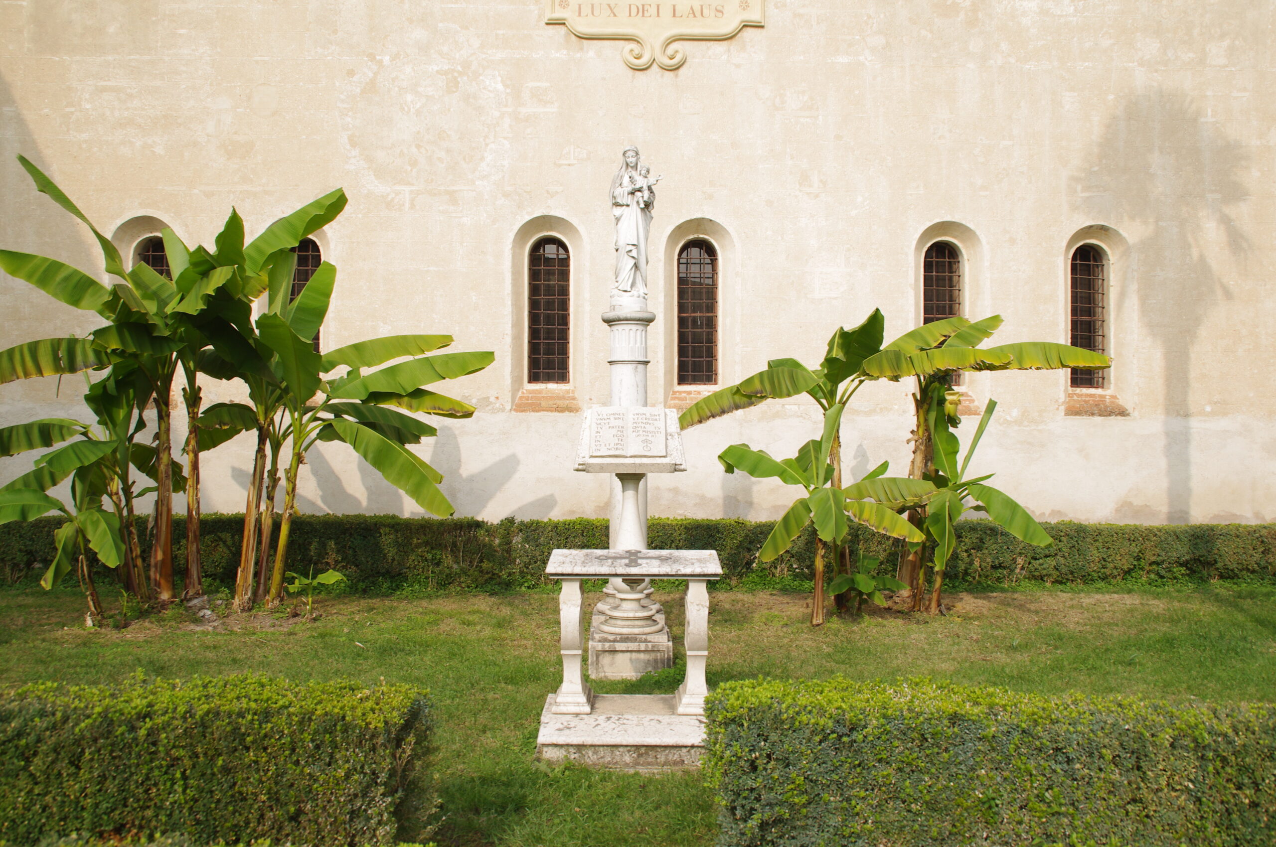 IMGP6971